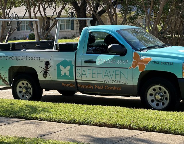 SafeHaven Pest Control 2