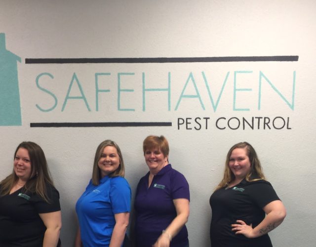 SafeHaven Pest Control 3