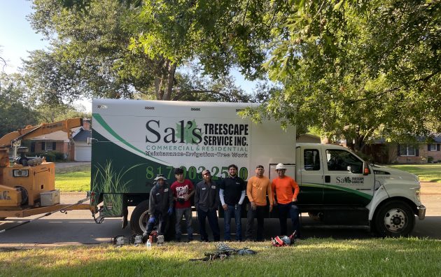 Sal’s Tree Service Fort Worth 6