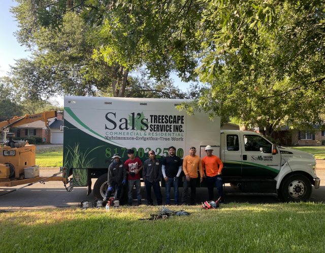 Sal’s Tree Service Fort Worth 6