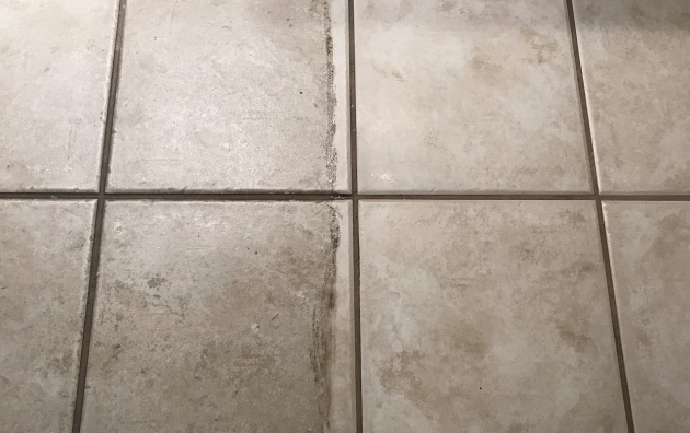 Seal Systems- Grout Cleaning, Grout Sealing 6