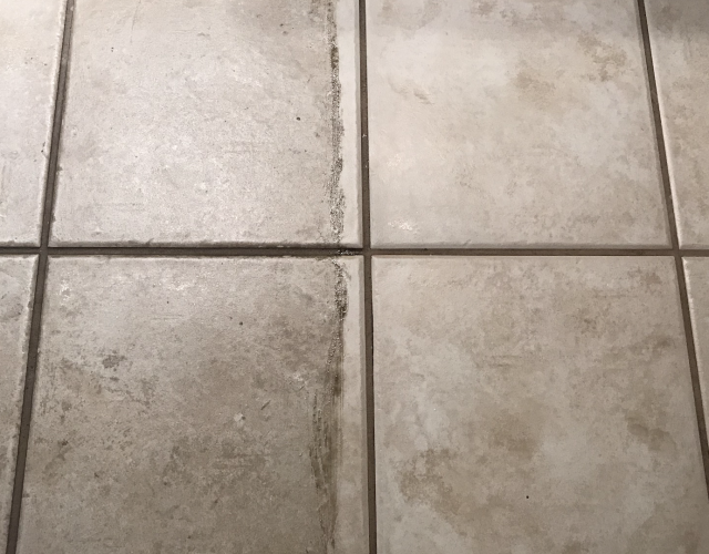 Seal Systems- Grout Cleaning, Grout Sealing 6