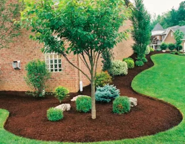 Semper Fi Landscaping 3