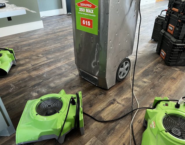 SERVPRO of Northeast Collin County/Greenville 2