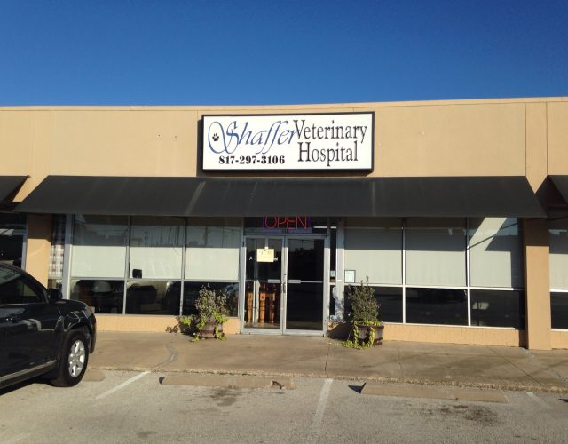 Shaffer Veterinary Services 6