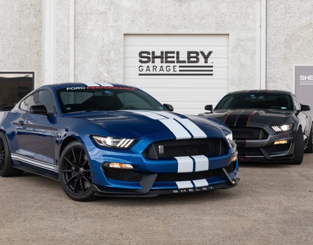 Shelby Garage 6