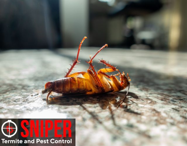 Sniper Termite and Pest Control Fort Worth 4