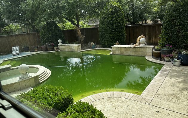 Southlake Pools 6