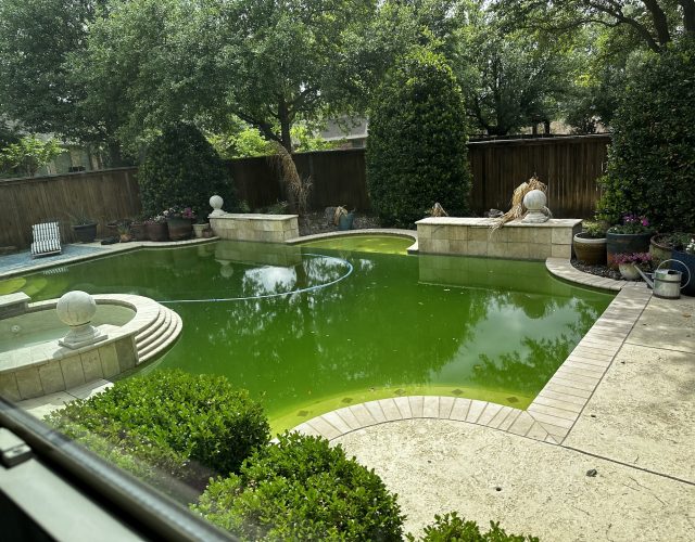 Southlake Pools 6