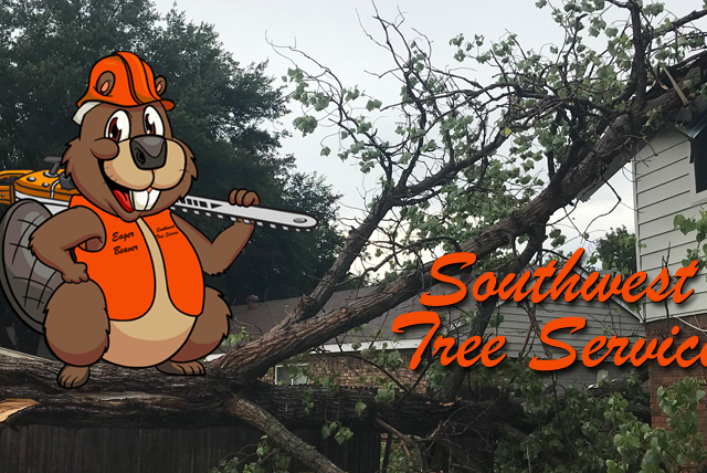 Southwest Tree Service 3