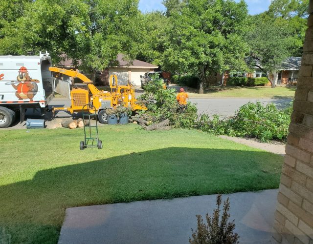 Southwest Tree Service 3