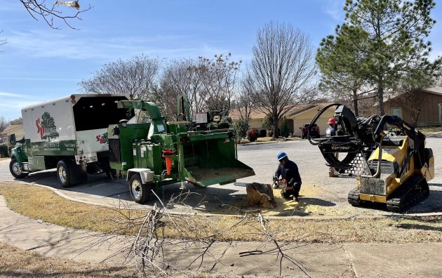 S&P Tree Service 6