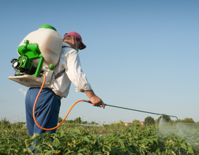 Stampede Pest Control – McKinney, TX 6