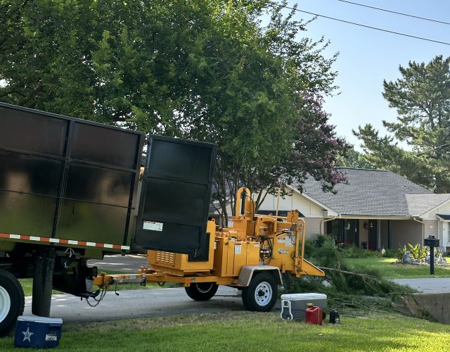 Supreme Tree Service DFW 1