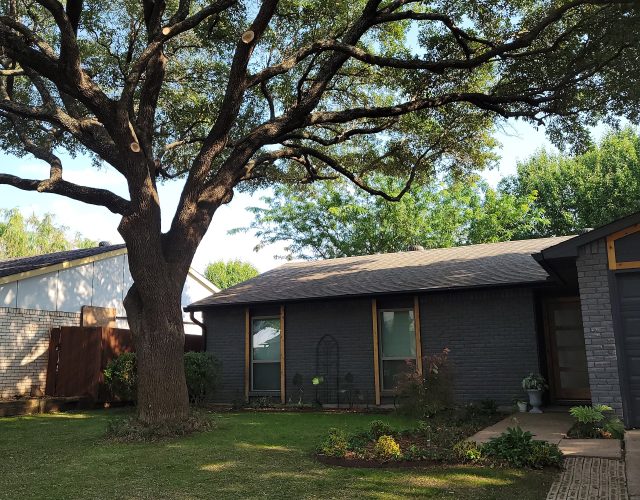 Supreme Tree Service DFW 2