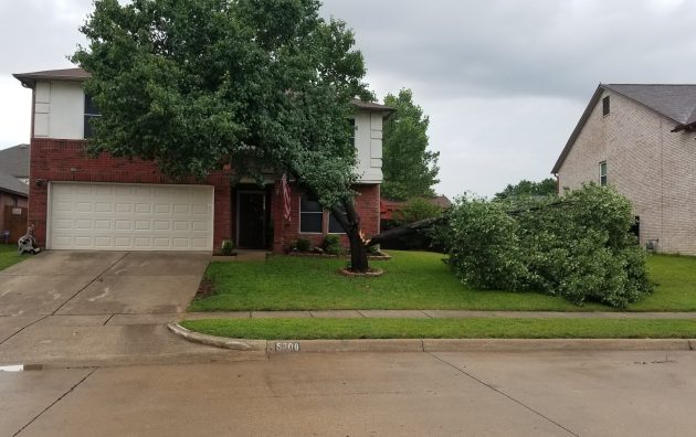 Tenorio Tree Service North Richland Hills 3