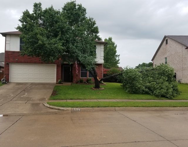 Tenorio Tree Service North Richland Hills 3