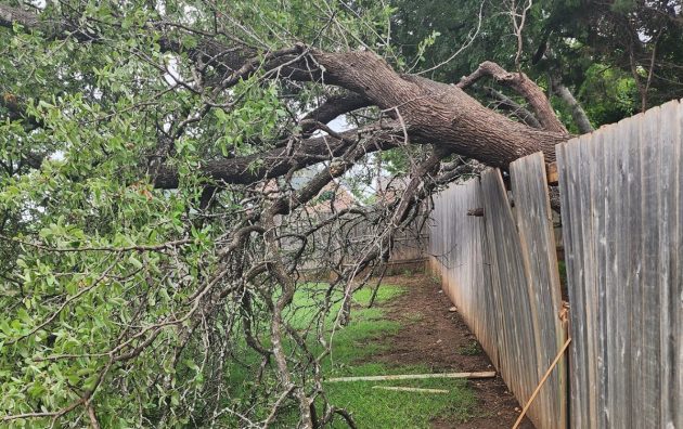 Texas Pride Tree Service LLC 6