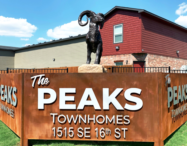 The Peaks Townhomes 6