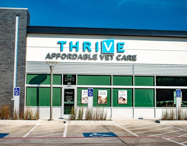 Thrive Pet Healthcare 5