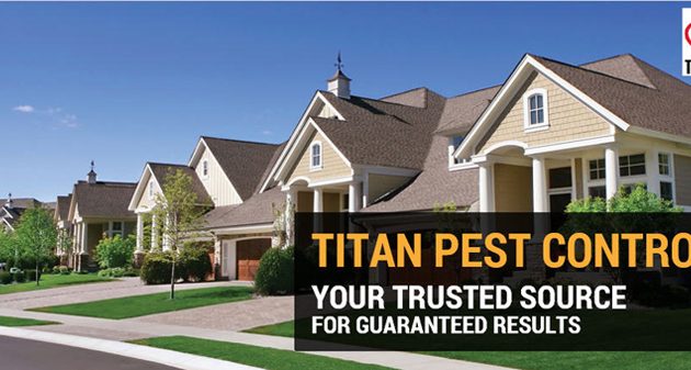 Titan & Termite Pest Control 2