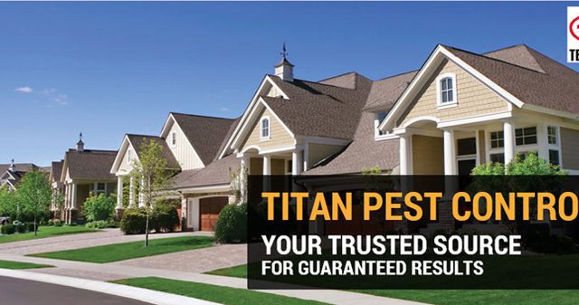 Titan & Termite Pest Control 2