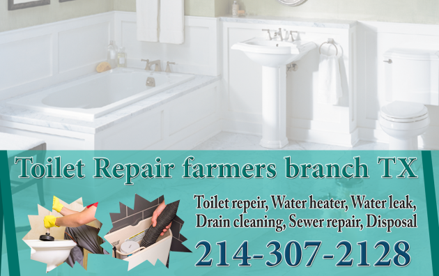 Toilet Repair farmers branch TX 2