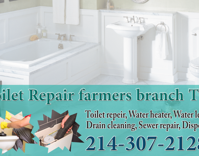 Toilet Repair farmers branch TX 2