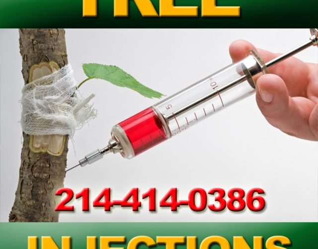 Tree Service Dallas 4