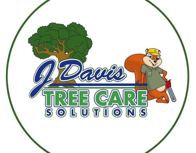 Tree Service Haltom City 2