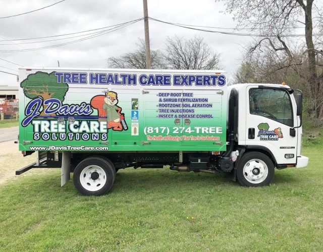 Tree Service Haltom City 3