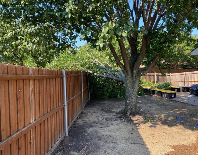 Tree Service Pros of Frisco 3