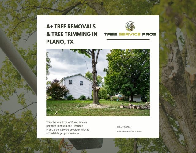 Tree Service Pros of Frisco 4