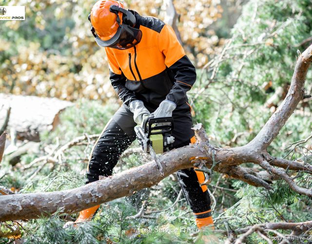 Tree Service Pros of Frisco 6