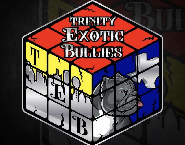 Trinity Exotic Bullies LLC 2