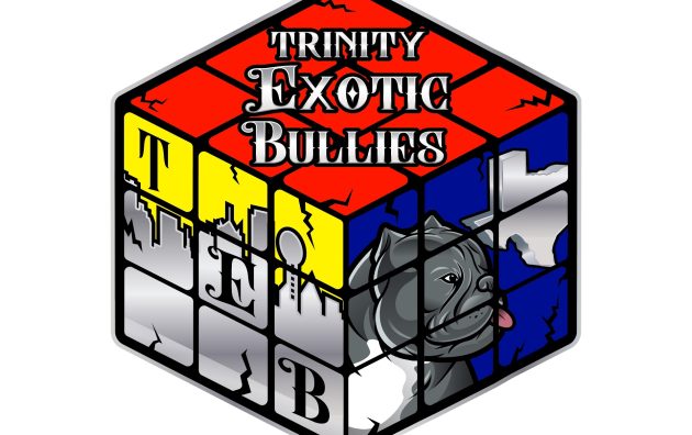 Trinity Exotic Bullies LLC 3