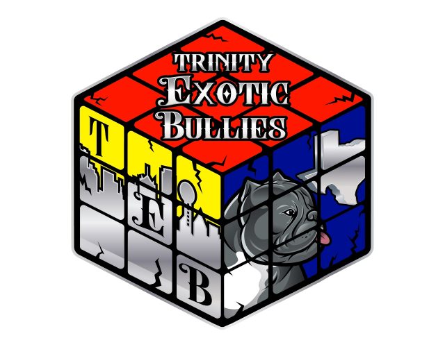 Trinity Exotic Bullies LLC 3