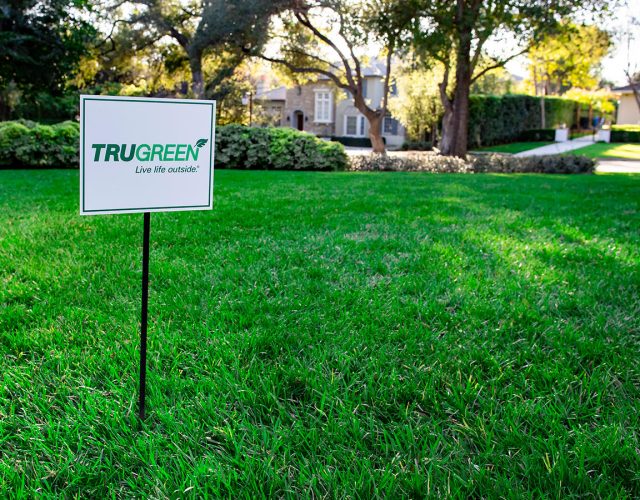 TruGreen 4