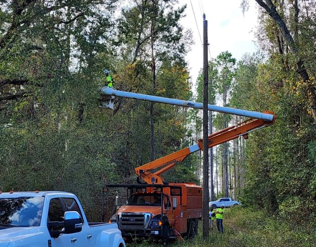 Tufts Tree Service 5