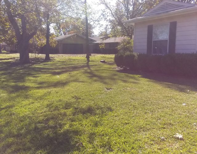 TURF CAT- Mowing and Landscape 2