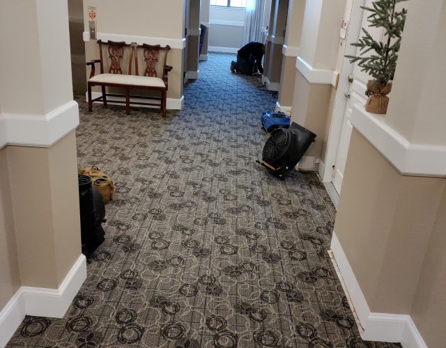 United Carpet Clean & Water Damage Restoration 2