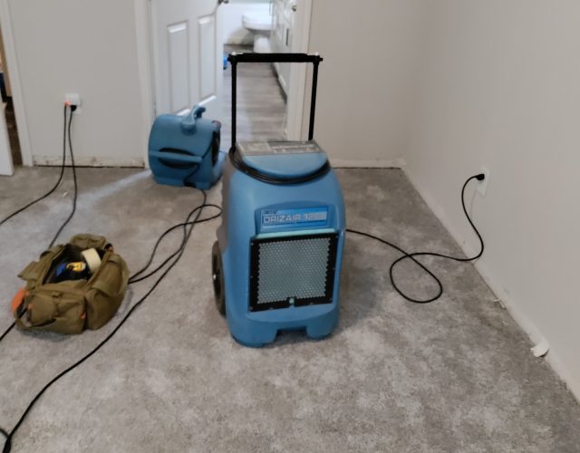 United Carpet Clean & Water Damage Restoration 3