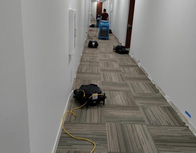 United Carpet Clean & Water Damage Restoration 4