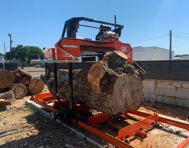 Urban Timber Harvest 2