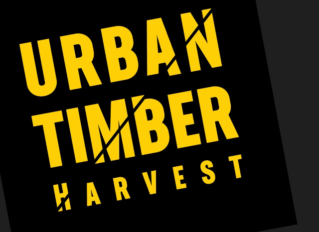 Urban Timber Harvest 4