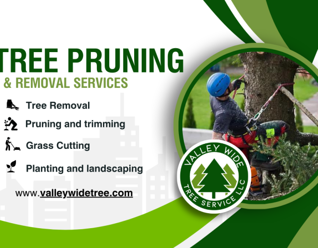 Valley Wide Tree Service 4