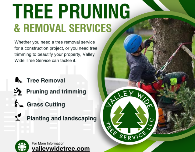 Valley Wide Tree Service 5