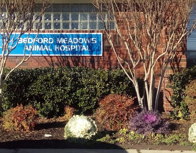 VCA Bedford Meadows Animal Hospital 2