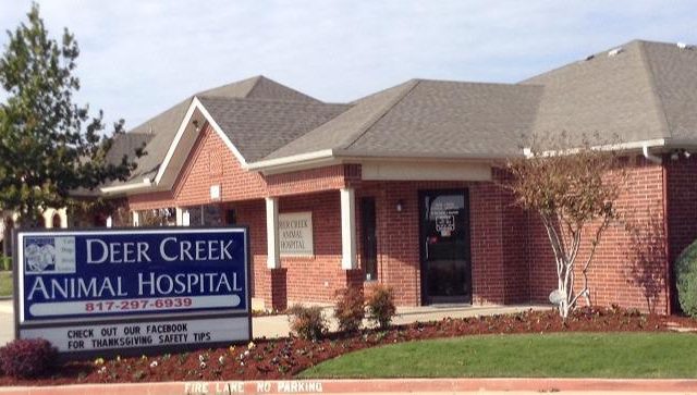 VCA Deer Creek Animal Hospital 3