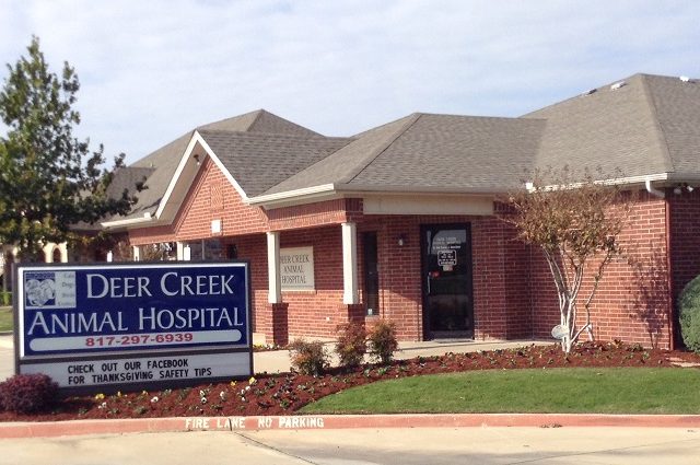 VCA Deer Creek Animal Hospital 4